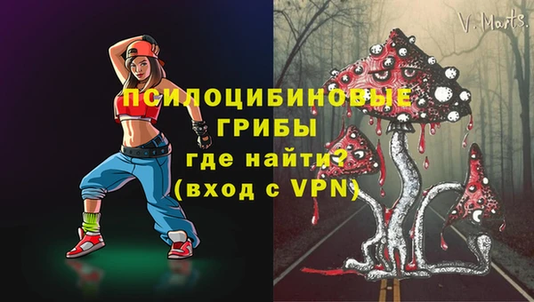 стафф Елизово
