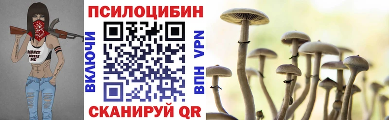 omg ССЫЛКА  Кушва  shop состав  Псилоцибиновые грибы Psilocybe 