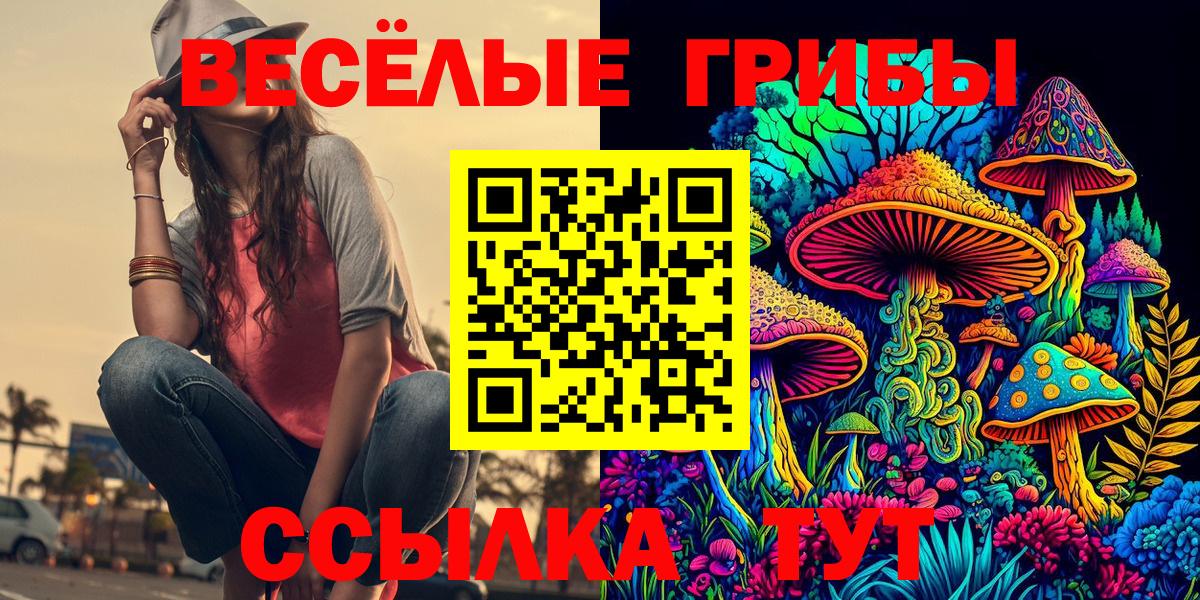 Галлюциногенные грибы Psilocybe  Вход с VPN  Кушва  купить наркоту  Псилоцибиновые грибы Cubensis 