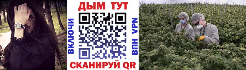 darknet состав  цены   Кушва  Шишки марихуана тримм 